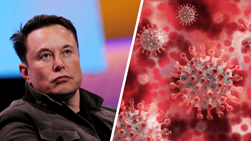 Elon Musk dice que parece haber contraído la COVID-19 por segunda vez